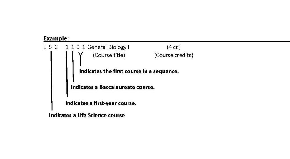 Course Numbers IECC